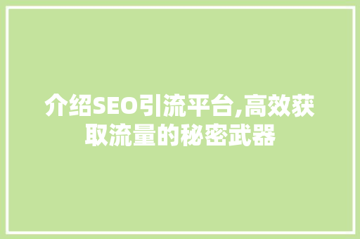 介绍SEO引流平台,高效获取流量的秘密武器