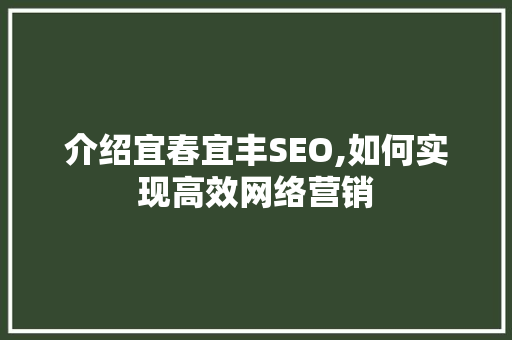 介绍宜春宜丰SEO,如何实现高效网络营销
