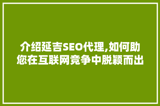 介绍延吉SEO代理,如何助您在互联网竞争中脱颖而出
