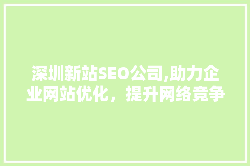深圳新站SEO公司,助力企业网站优化，提升网络竞争力