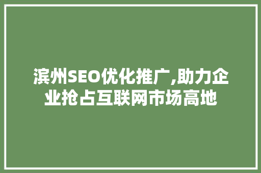 滨州SEO优化推广,助力企业抢占互联网市场高地