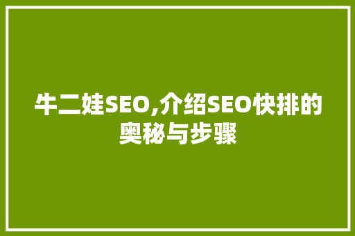 牛二娃SEO,介绍SEO快排的奥秘与步骤