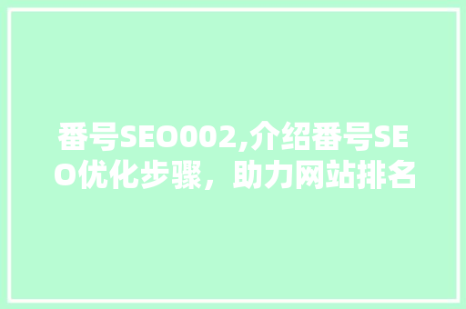 番号SEO002,介绍番号SEO优化步骤，助力网站排名提升