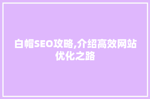 白帽SEO攻略,介绍高效网站优化之路