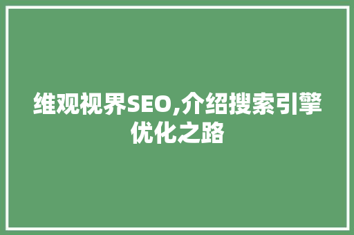 维观视界SEO,介绍搜索引擎优化之路