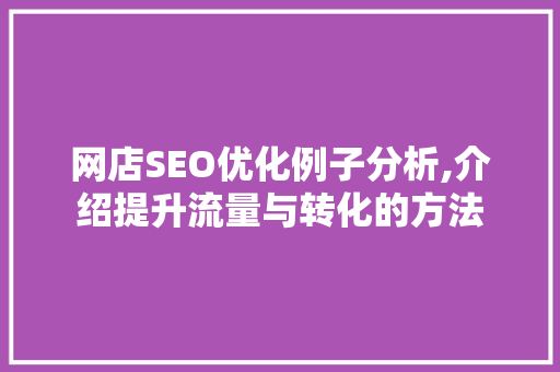 网店SEO优化例子分析,介绍提升流量与转化的方法