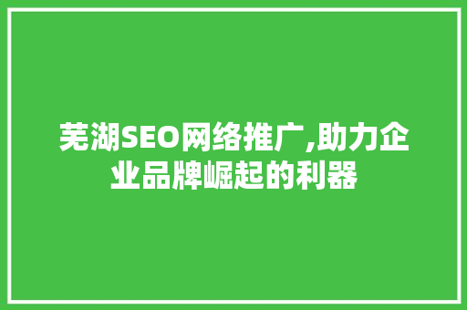 芜湖SEO网络推广,助力企业品牌崛起的利器