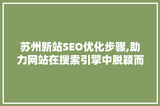 苏州新站SEO优化步骤,助力网站在搜索引擎中脱颖而出