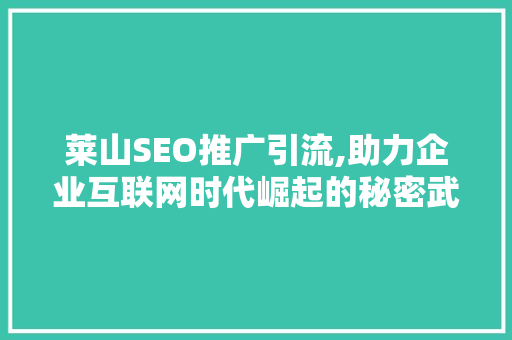 莱山SEO推广引流,助力企业互联网时代崛起的秘密武器