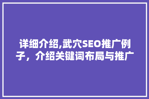 详细介绍,武穴SEO推广例子，介绍关键词布局与推广步骤