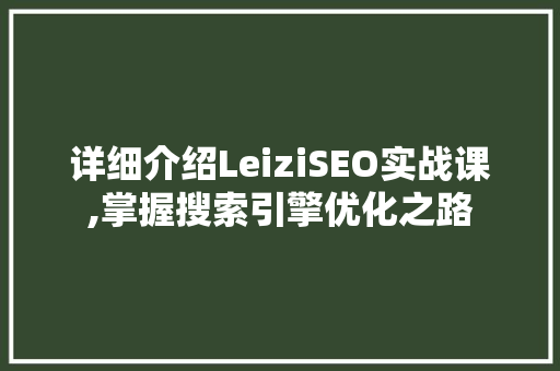 详细介绍LeiziSEO实战课,掌握搜索引擎优化之路