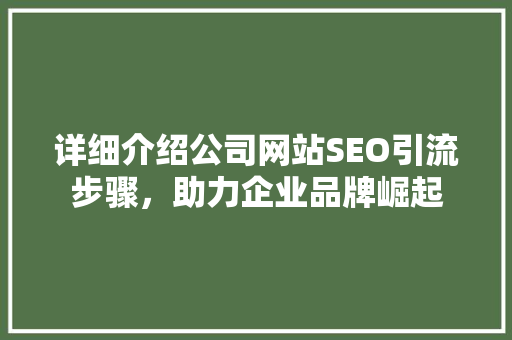 详细介绍公司网站SEO引流步骤，助力企业品牌崛起