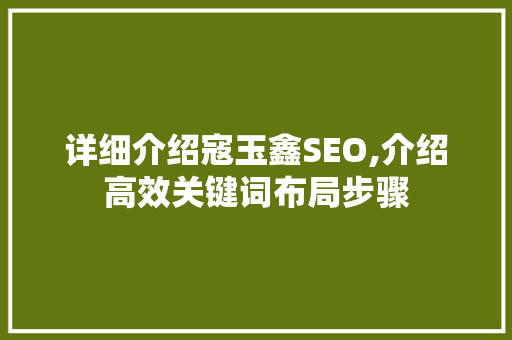 详细介绍寇玉鑫SEO,介绍高效关键词布局步骤