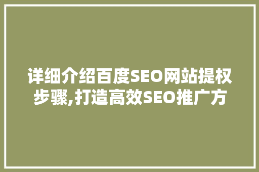 详细介绍百度SEO网站提权步骤,打造高效SEO推广方法