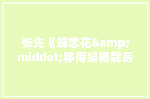 详细剖析兴宁网站SEO优化步骤，助力企业腾飞
