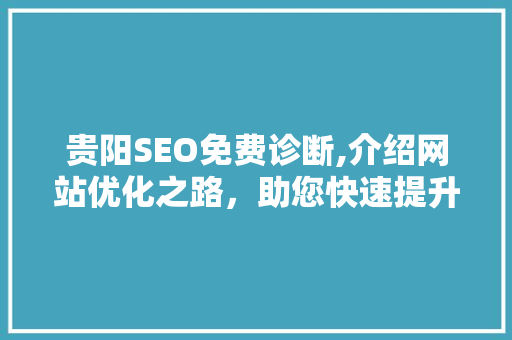 贵阳SEO免费诊断,介绍网站优化之路，助您快速提升排名