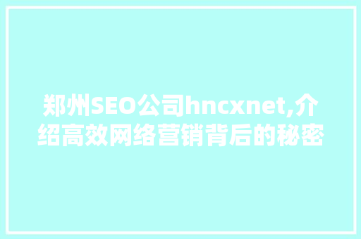 郑州SEO公司hncxnet,介绍高效网络营销背后的秘密