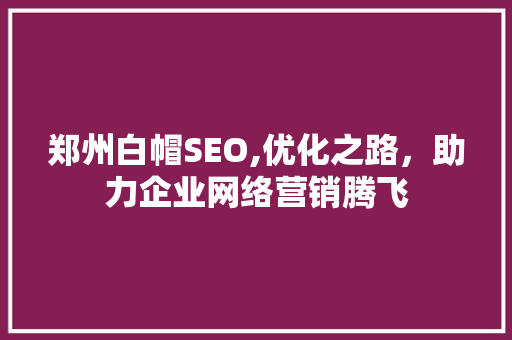 郑州白帽SEO,优化之路，助力企业网络营销腾飞