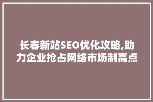 长春新站SEO优化攻略,助力企业抢占网络市场制高点