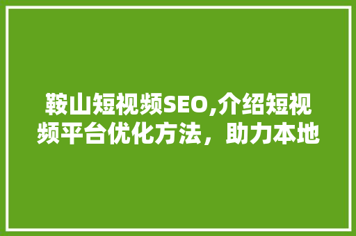 鞍山短视频SEO,介绍短视频平台优化方法，助力本地商家腾飞