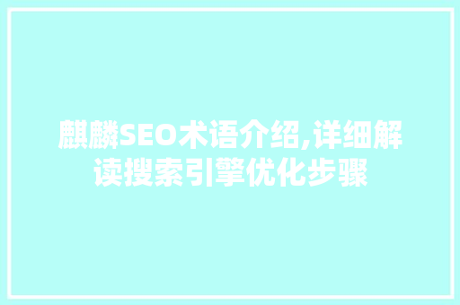 麒麟SEO术语介绍,详细解读搜索引擎优化步骤