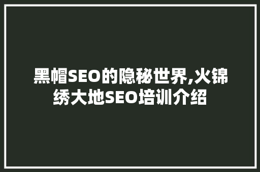 黑帽SEO的隐秘世界,火锦绣大地SEO培训介绍