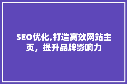 SEO优化,打造高效网站主页，提升品牌影响力
