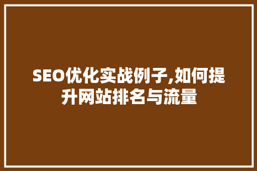 SEO优化实战例子,如何提升网站排名与流量