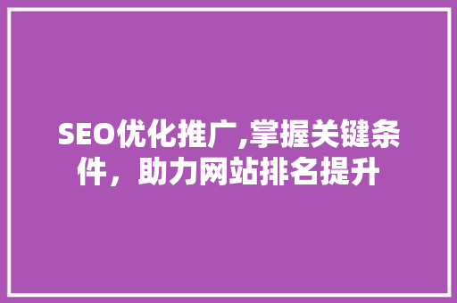 SEO优化推广,掌握关键条件，助力网站排名提升