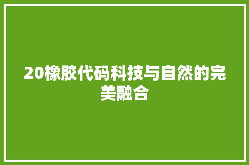 20橡胶代码科技与自然的完美融合