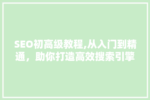 SEO初高级教程,从入门到精通，助你打造高效搜索引擎优化步骤