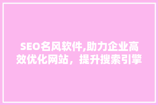 SEO名风软件,助力企业高效优化网站，提升搜索引擎排名