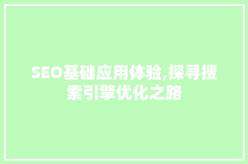 SEO基础应用体验,探寻搜索引擎优化之路