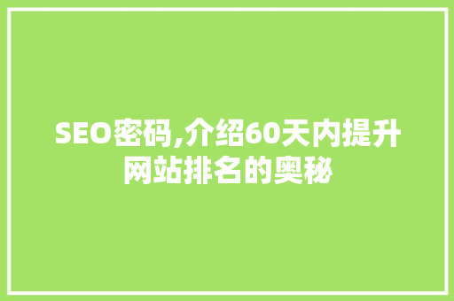 SEO密码,介绍60天内提升网站排名的奥秘
