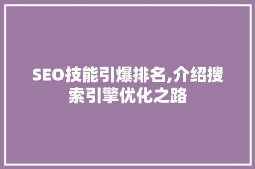 SEO技能引爆排名,介绍搜索引擎优化之路