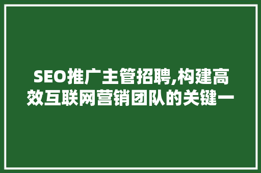 SEO推广主管招聘,构建高效互联网营销团队的关键一环