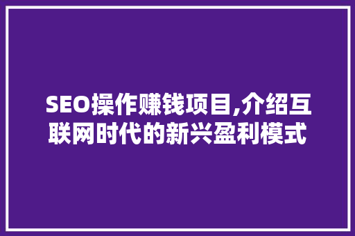 SEO操作赚钱项目,介绍互联网时代的新兴盈利模式