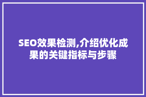 SEO效果检测,介绍优化成果的关键指标与步骤