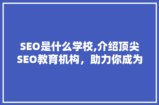 SEO是什么学校,介绍顶尖SEO教育机构，助力你成为网络营销高手