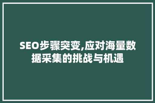 SEO步骤突变,应对海量数据采集的挑战与机遇
