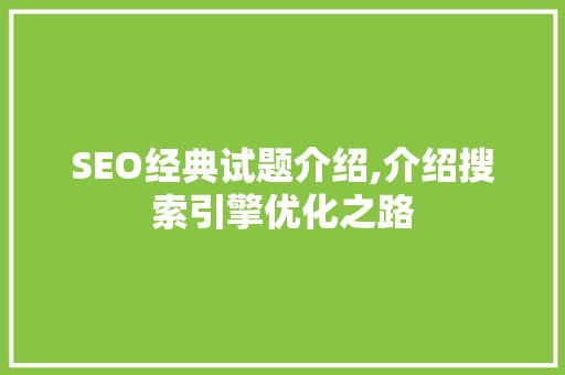 SEO经典试题介绍,介绍搜索引擎优化之路