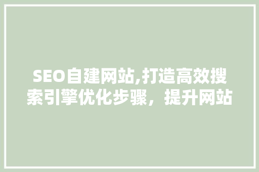 SEO自建网站,打造高效搜索引擎优化步骤，提升网站排名与流量