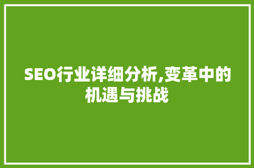 SEO行业详细分析,变革中的机遇与挑战