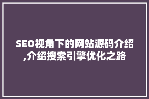 SEO视角下的网站源码介绍,介绍搜索引擎优化之路