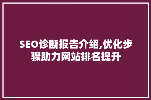 SEO诊断报告介绍,优化步骤助力网站排名提升