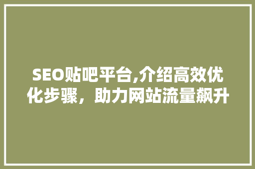 SEO贴吧平台,介绍高效优化步骤，助力网站流量飙升