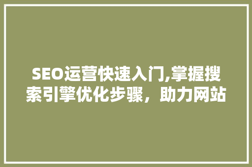 SEO运营快速入门,掌握搜索引擎优化步骤，助力网站流量提升