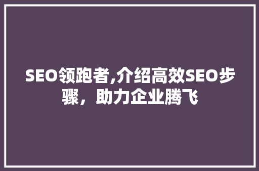 SEO领跑者,介绍高效SEO步骤，助力企业腾飞