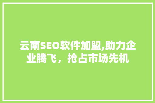云南SEO软件加盟,助力企业腾飞，抢占市场先机