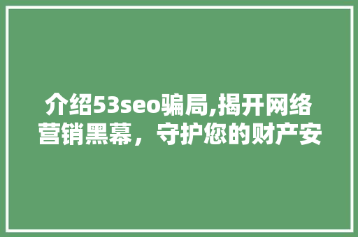 介绍53seo骗局,揭开网络营销黑幕，守护您的财产安全